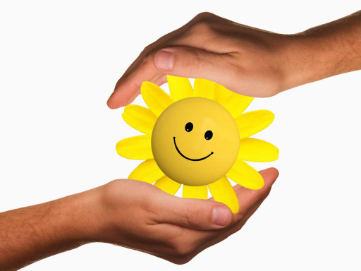 Two hands holding a cartoon sun flower.